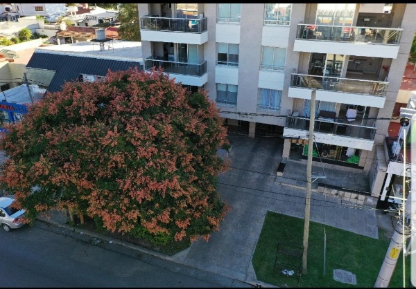 Apartamento Reyes Catolicos image 7